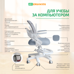 Стул для школьника Ergokids Y-308