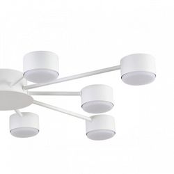 Потолочная люстра Lumion TORINA 8343/10C