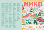 Мико