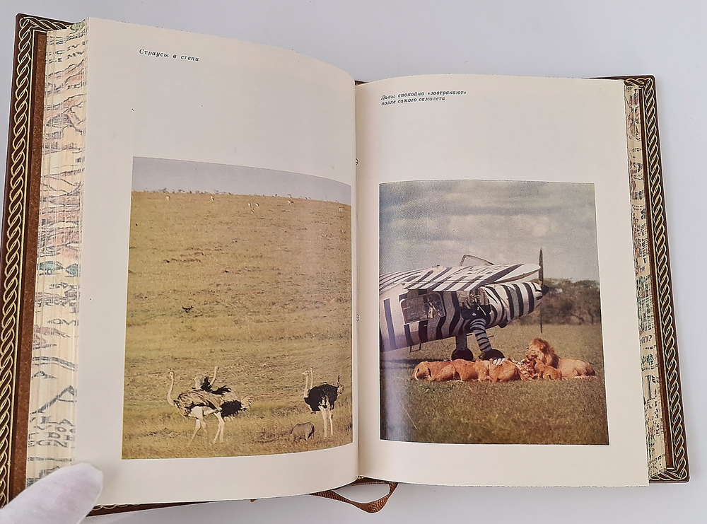 "Серенгети не должен умереть. В поисках фресок Тассилии". Бернгард и Михаэль Гржимек, Анри Лот - подарочное издание