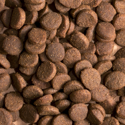 Сухой корм ProBalance Gourmet diet Adult для взрослых собак с говядиной и кроликом