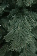 Голубая искусственная ель «Балтийская» (Литая хвоя) от 1,8 м до 3 м