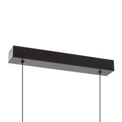 Citilux GLOB CL209131 LED Светильник подвесной Чёрный