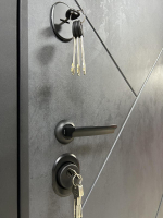 Дверь входная Блюз