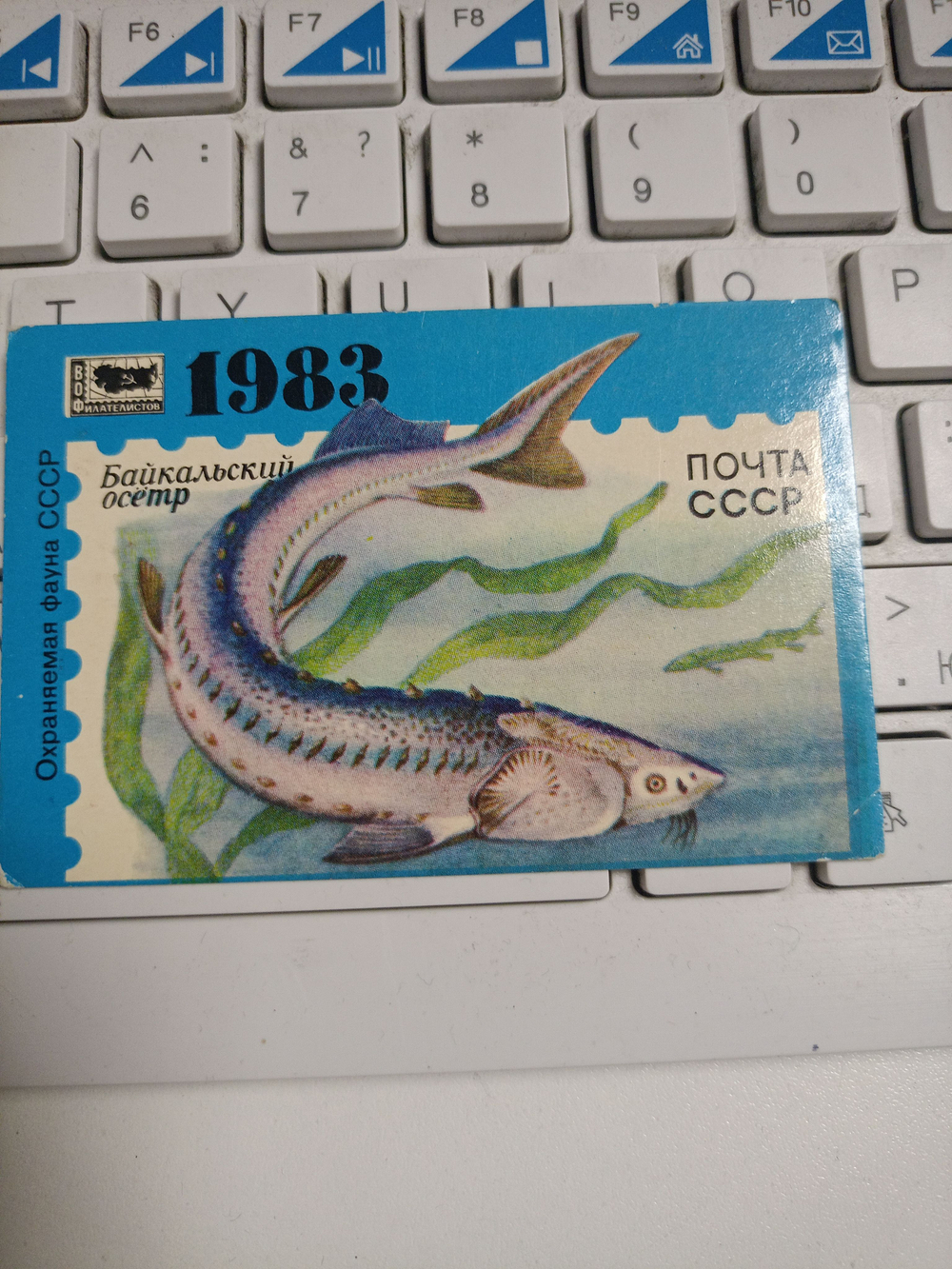 Календарь карманный винтажный за 1983 год "Охраняемая фауна СССР" (Байкальский осётр)