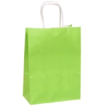Пакет подарочный «Классика» 22*16*8 см, салатовый