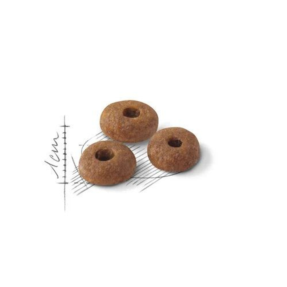 Сухой корм Royal canin FIT-32 для взрослых кошек с нормальной активностью, пакет 2 кг