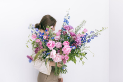 Сornflower