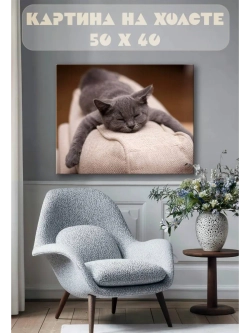 Картина на стену 40 X 50 Кот