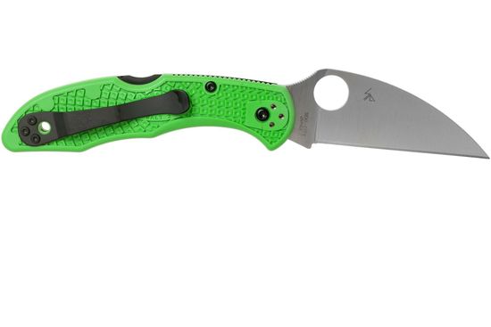 Складной нож Spyderco Spyderco Salt 2 88FPWCGR2 c клинком из стали LC200N Rustproof Steel, рукоять FRN