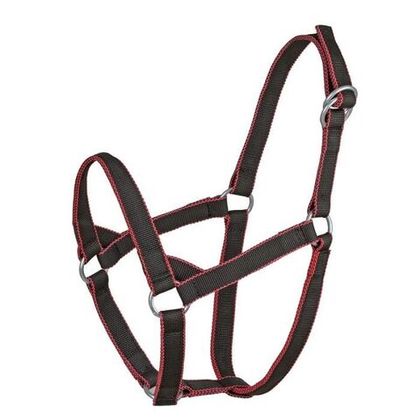 Недоуздок, 2-ой капрон 30 мм с затягивающими кольцами