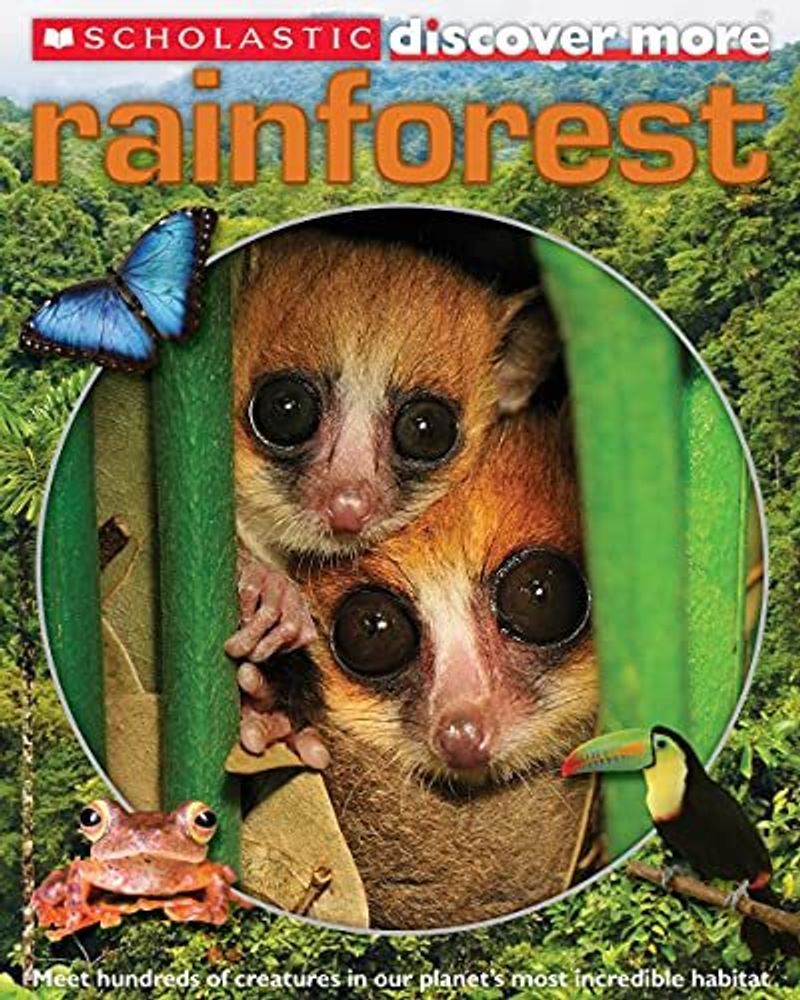 Discover More: Rainforests