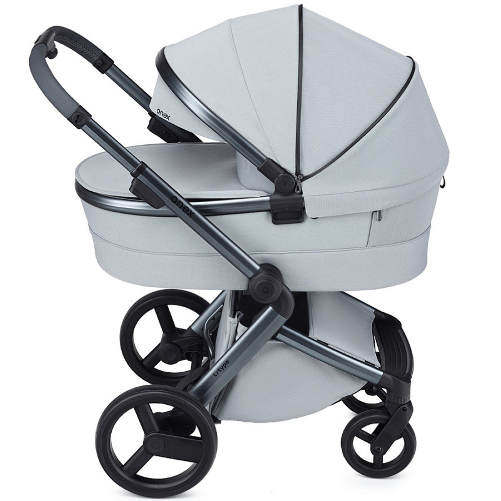 Детская коляска Anex l/type 3 в 1 Frost