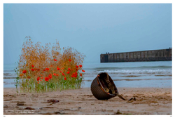 Floral Poetry in Normandy