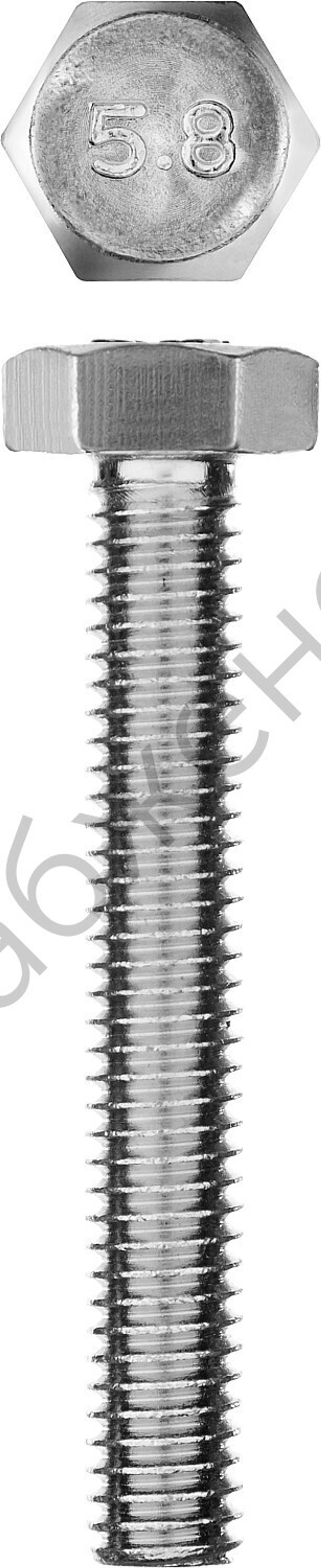 ЗУБР ГОСТ 7798-70, M6 x 40 мм, кл. пр. 5.8, болт оцинкованный, 5 шт (303086-06-040)