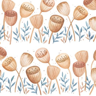 Полевые цветы