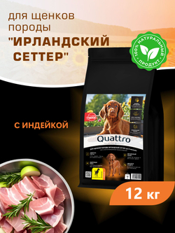 Корм сухой для щенков породы Ирландский сеттер, с индейкой, 12 кг, QUATTRO