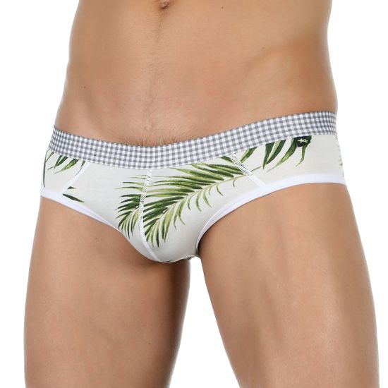 Мужские трусы брифы белые с принтом Van Baam