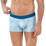 Голубые трусы-хипсы с принтом Emphatic Trunks (Размер: L) (Цвет: голубой)