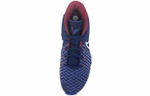Кроссовки Nike Kd Trey 5 Viii Ep
