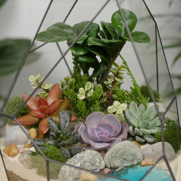 Готовый флорариум с суккулентами Hill с озером