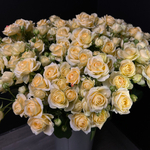 × 2 + 1 Букет сливочных кустовых роз