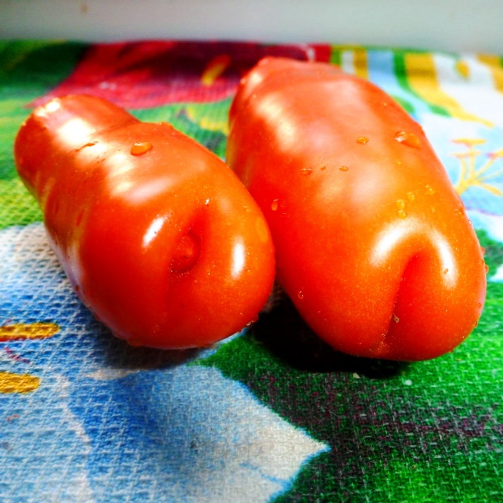 Помидоры - Аурия (Мужские)