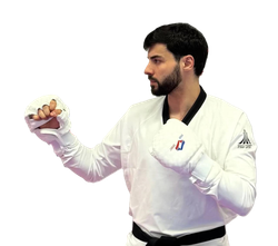 Перчатки защитные ProfSport тренировочные