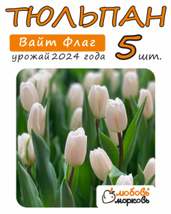 Тюльпан Луковица Вайт Флаг 5 шт