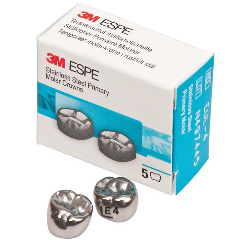 Второй верхний левый моляр, размер 4 (E-UL-4)