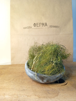 Фенхель сушеный