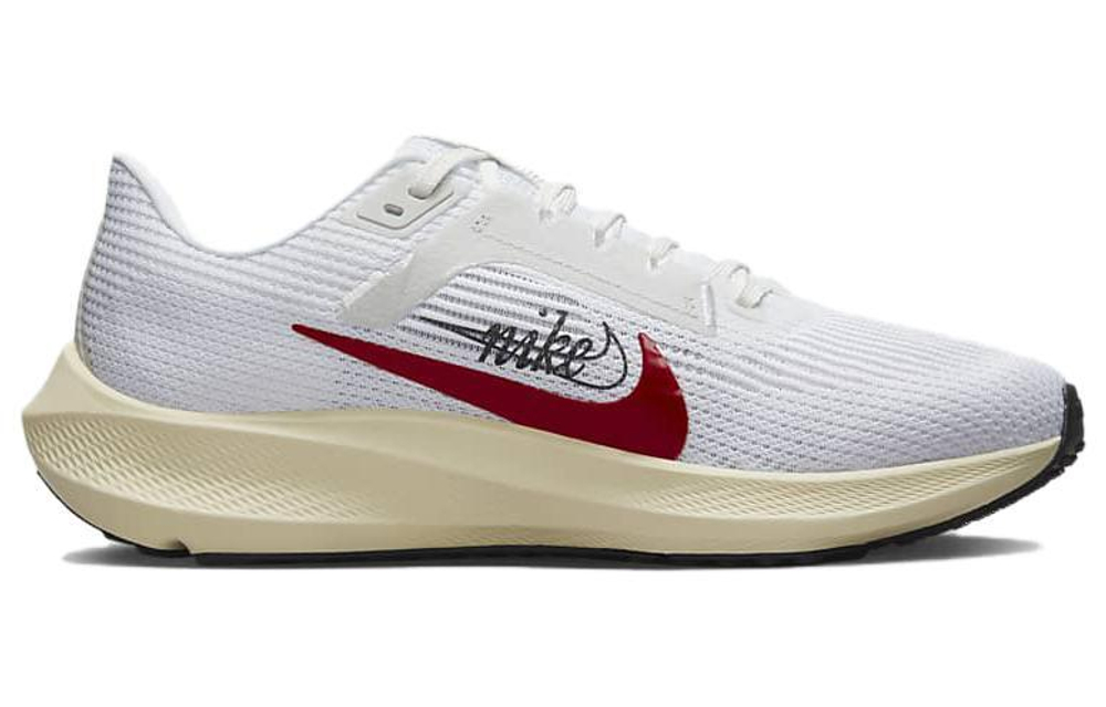 Кроссовки Nike Air Zoom Pegasus 40 Prm 40 (Женская размерная сетка)