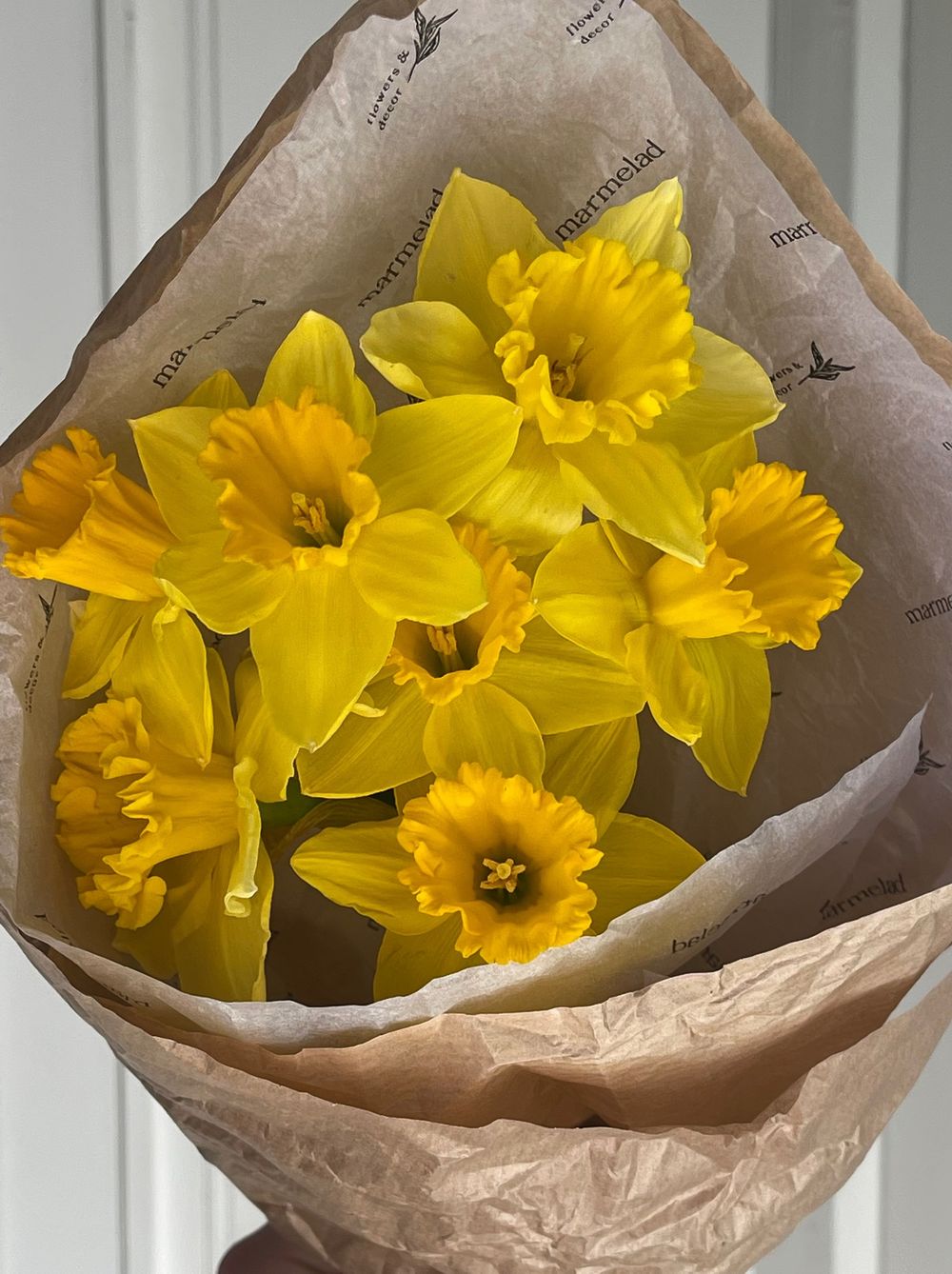 Кулек из нарциссов