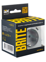 BRITE Розетка 1-местная с заземлением с защитными шторками 16А с USB A+C 18Вт РЮш11-1-БрА алюминий IEK