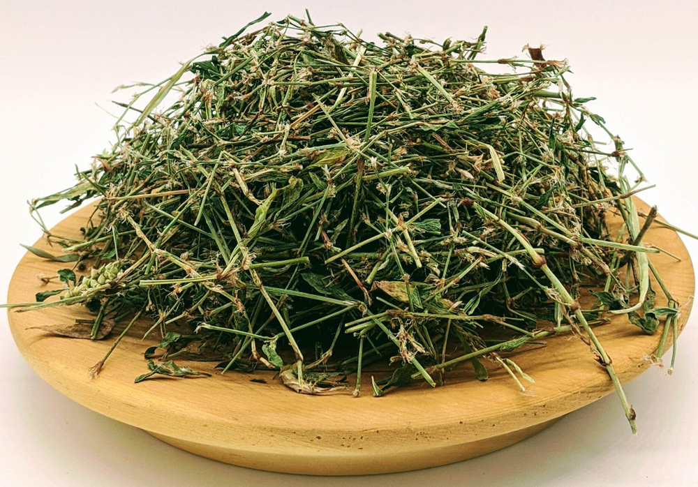 Горец птичий