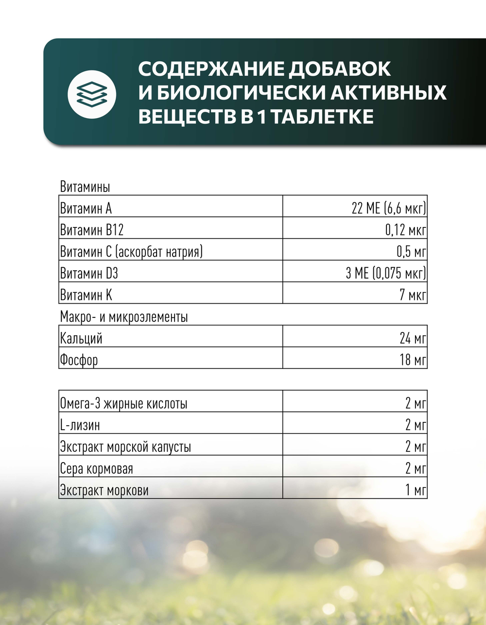 Vita+ мультивитаминное лакомство для собак Для зубов и костей, 90 таблеток