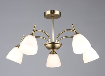 7349/5 COP (1) Люстра RL