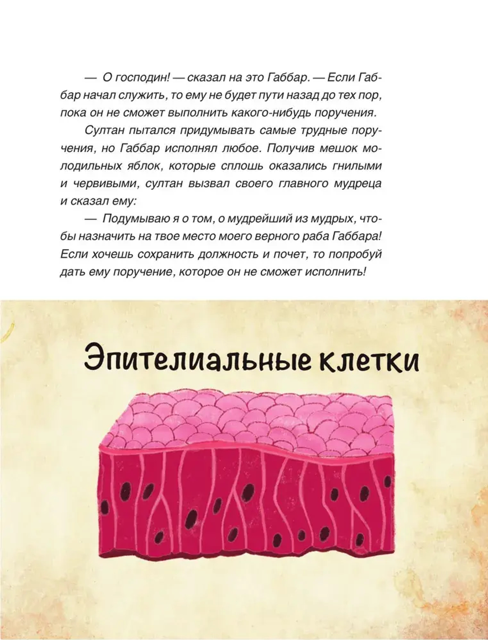 Сказочная анатомия