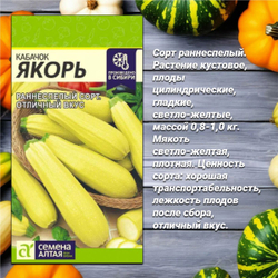Набор семян: тыква, патиссон и кабачок. Семена Алтая