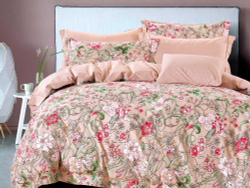 Постельное белье 2 спальное евро Asabella 1365-6