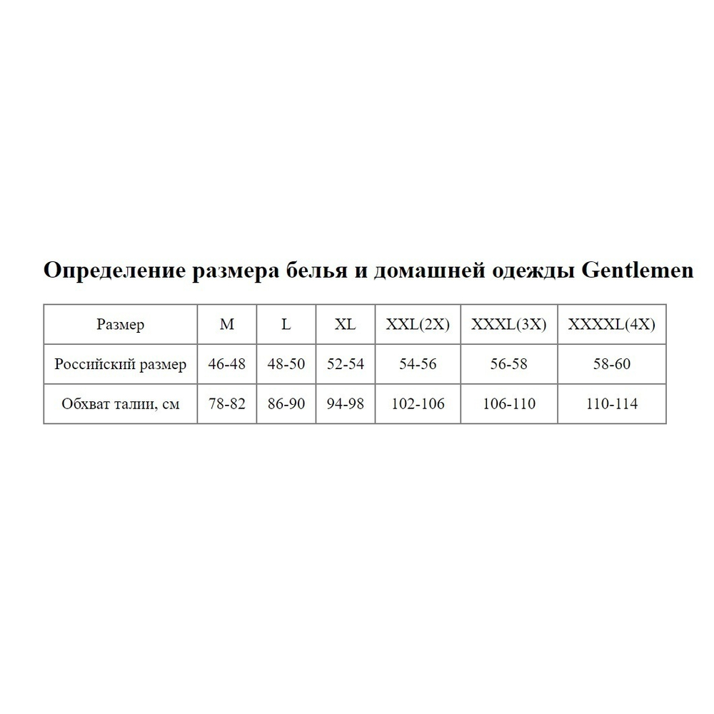 Набор из 2 трусов-слипов в клетку - черных и синих (Размер: L) (Цвет: черный с синим)