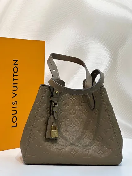 Сумка Louis Vuitton All In One PM