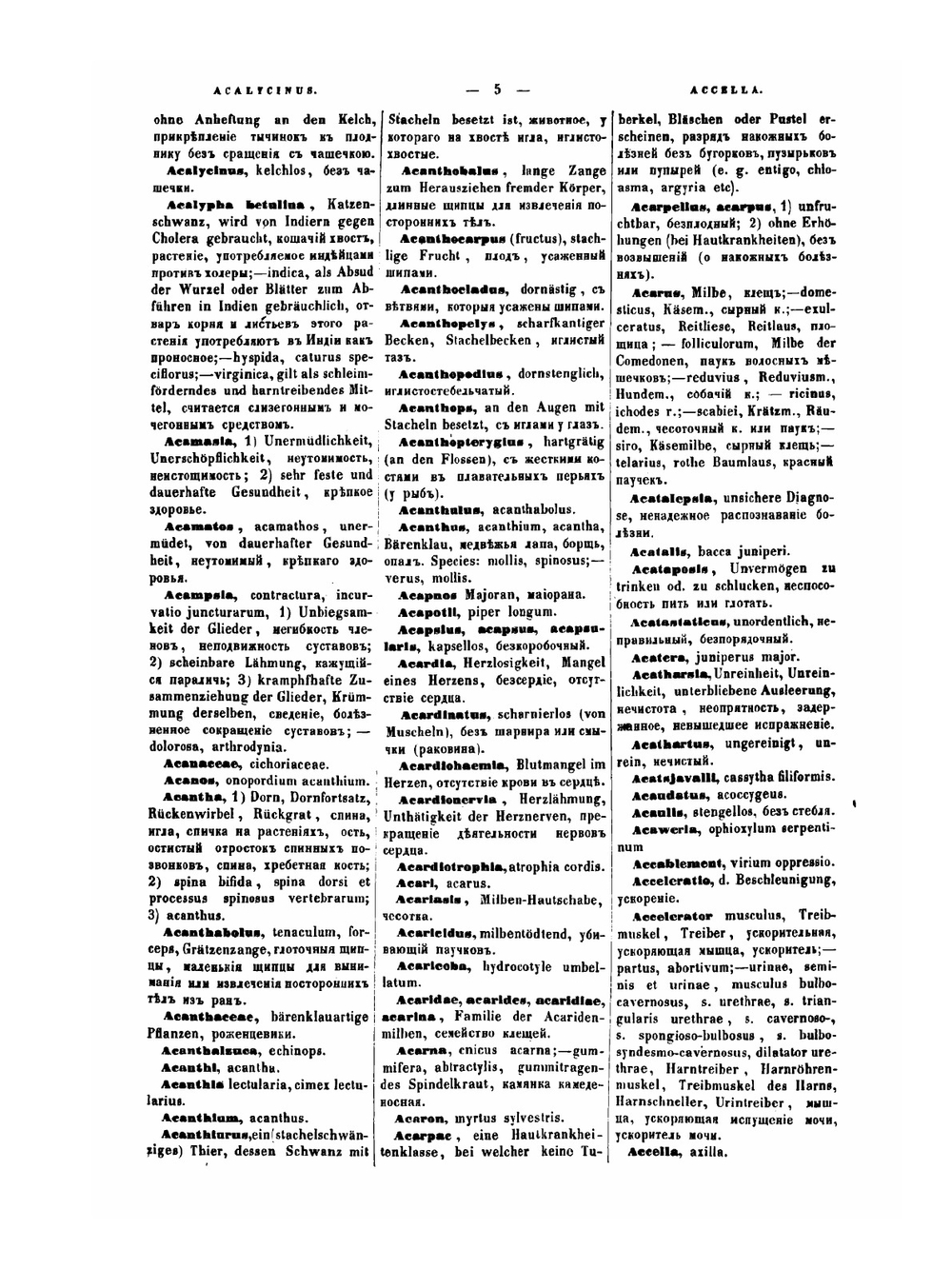 Терминологический медицинский словарь. Второе издание. А-М | Л.П. Гринберг