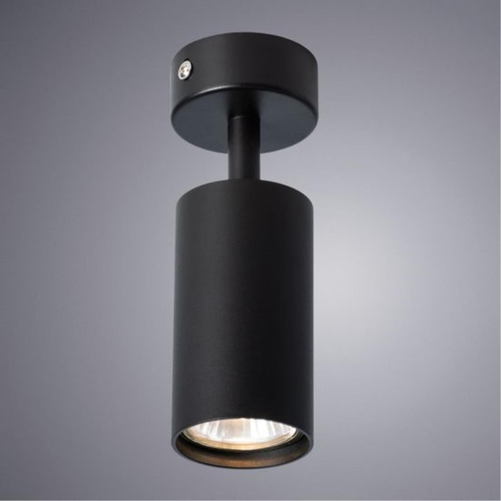Накладной светильник Arte Lamp AQUARIUS A3216PL-1BK