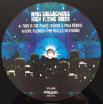 Noel Gallagher's High Flying Birds / This Is The Place (12" Vinyl EP)