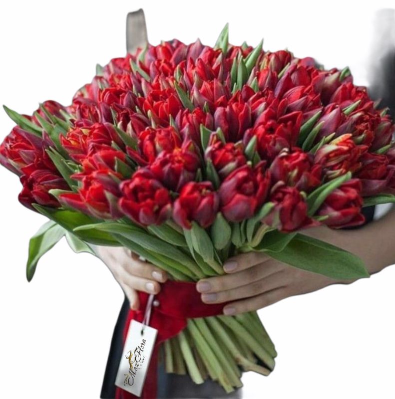 Букет 101 тюльпан (Б-18)