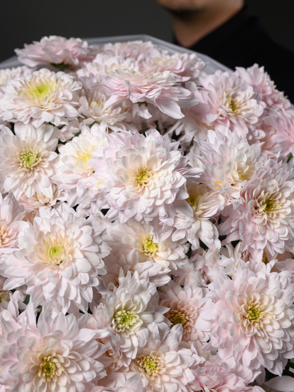 Моно букет из 15 цветных хризантем