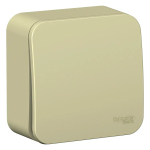 BLANCA О/У 1-клавишный ВЫКЛЮЧАТЕЛЬ (сх.1) ИЗОЛ.ПЛ., 10А, 250В, БЕЖЕВЫЙ