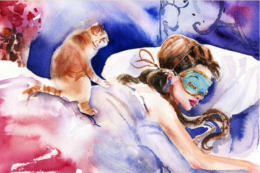 Холли и котик