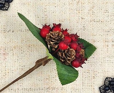 Веточка ягода + шишка